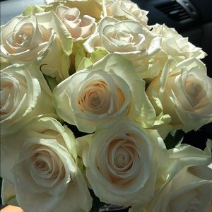 Meet your Posher, Dabney